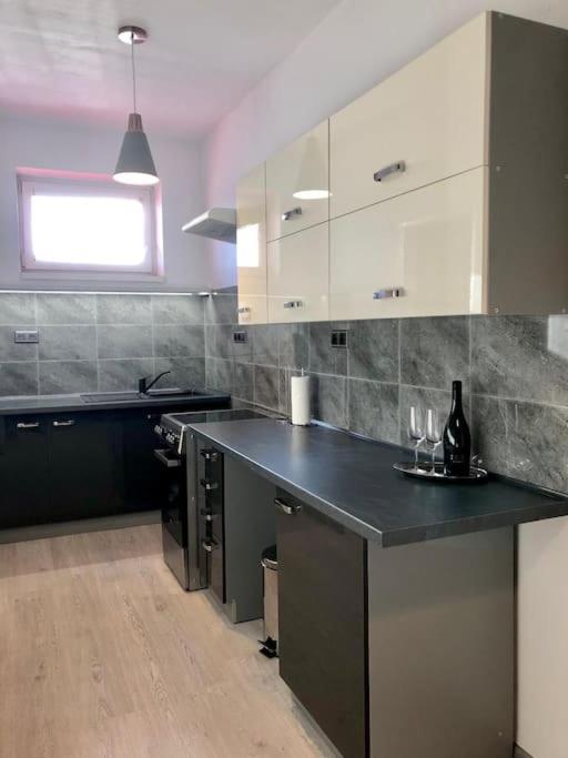 ברטיסלאבה Spacious Apartment Near Hockey And Football Arena מראה חיצוני תמונה